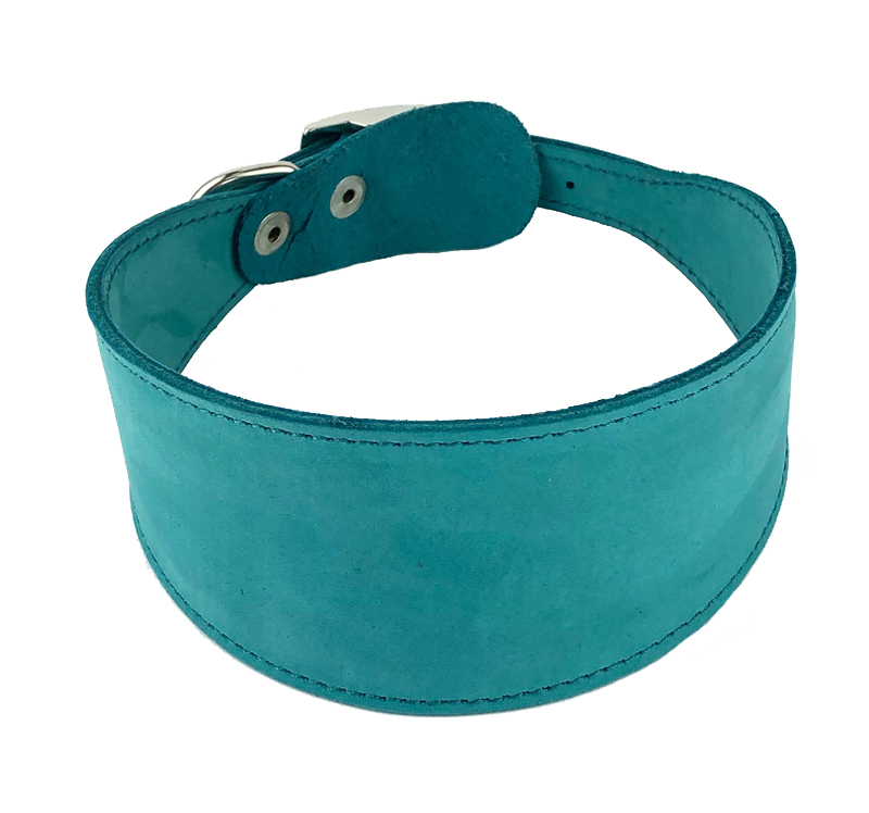 Ошейник для собак 1133Б COLOR LINE 2сл Камбала до 40 см нубук бирюзовый 2021
Ошейник для собак 1133Б COLOR LINE 2сл Камбала до 40 см нубук бирюзовый 2021