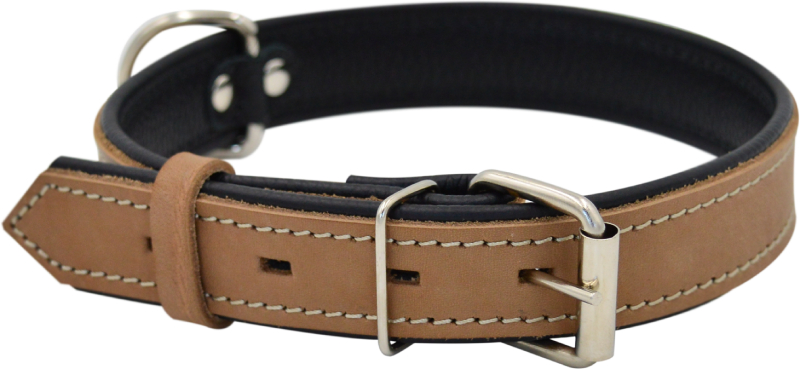 Ошейник для собак 1310Б HIGHT LINE 15 мм без украшений длина до 32 см бежевый
Ошейник для собак 1310Б HIGHT LINE 15 мм без украшений длина до 32 см бежевый