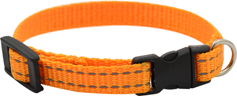 Ошейник для собак 5312А FRESH LINE 10 мм капрон, светоотр. нить, фастекс длина 22-35 см апельсиновый
Ошейник для собак 5312А FRESH LINE 10 мм капрон, светоотр. нить, фастекс длина 22-35 см апельсиновый