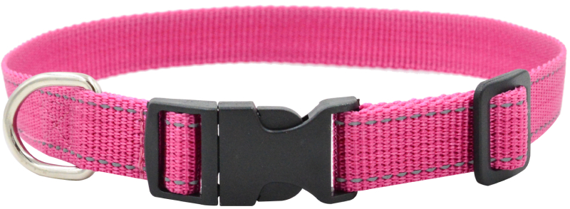 Ошейник для собак 5314М FRESH LINE 20 мм капрон, светоотр. нить, фастекс длина 35-55 см малиновый
Ошейник для собак 5314М FRESH LINE 20 мм капрон, светоотр. нить, фастекс длина 35-55 см малиновый