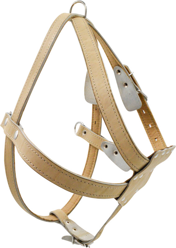 Шлейка для собак 0820Б 1сл 12 мм до 55 см бежевая
Шлейка для собак 0820Б 1сл 12 мм до 55 см бежевая