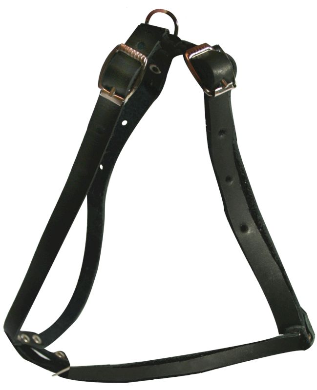 Шлейка для собак 0820Ч 1сл 12 мм до 55 см черная
Шлейка для собак 0820Ч 1сл 12 мм до 55 см черная