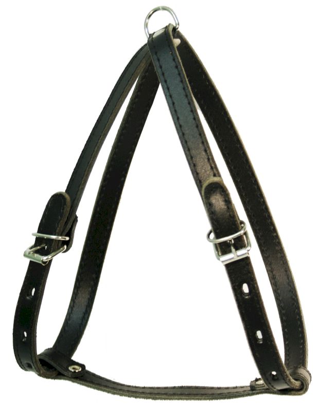 Шлейка для собак 0822Ч 2сл 14 мм до 55 см черная
Шлейка для собак 0822Ч 2сл 14 мм до 55 см черная