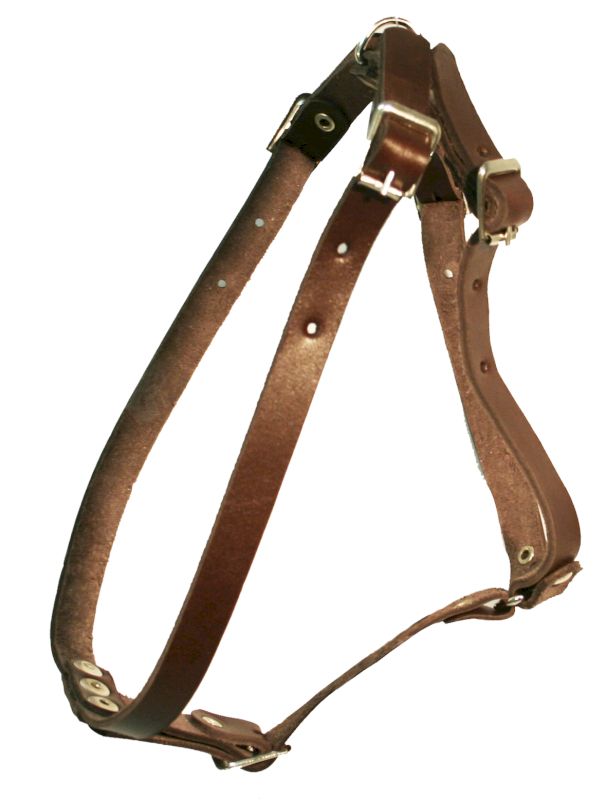 Шлейка для собак 0830К 1сл 14 мм до 65 см коричневая
Шлейка для собак 0830К 1сл 14 мм до 65 см коричневая