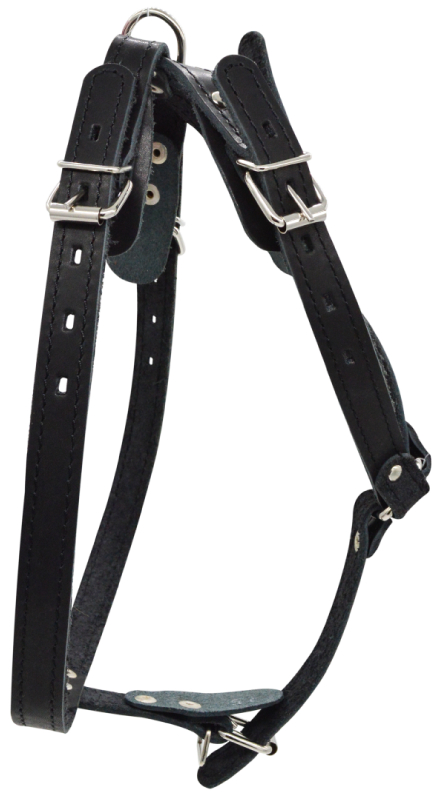 Шлейка для собак 0840Ч 1сл 18 мм до 75 см черная
Шлейка для собак 0840Ч 1сл 18 мм до 75 см черная