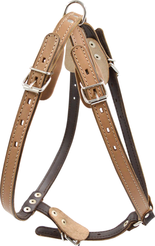 Шлейка для собак 0841Б 2сл 18 мм до 75 см бежевая
Шлейка для собак 0841Б 2сл 18 мм до 75 см бежевая