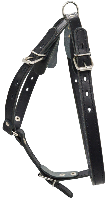 Шлейка для собак 0841Ч 2сл 18 мм до 75 см черная
Шлейка для собак 0841Ч 2сл 18 мм до 75 см черная