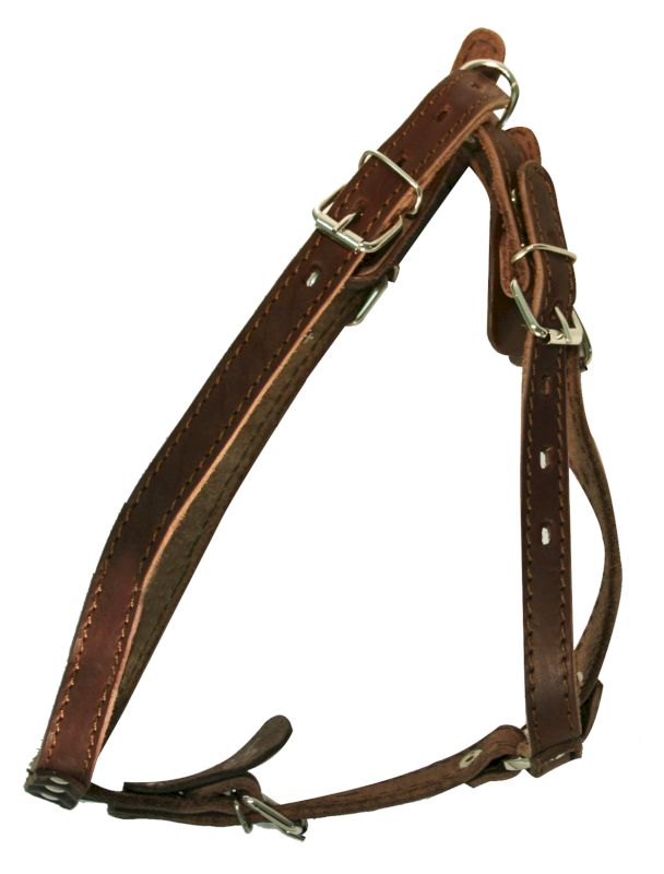 Шлейка для собак 0850К 1сл 18 мм до 85 см коричневая
Шлейка для собак 0850К 1сл 18 мм до 85 см коричневая