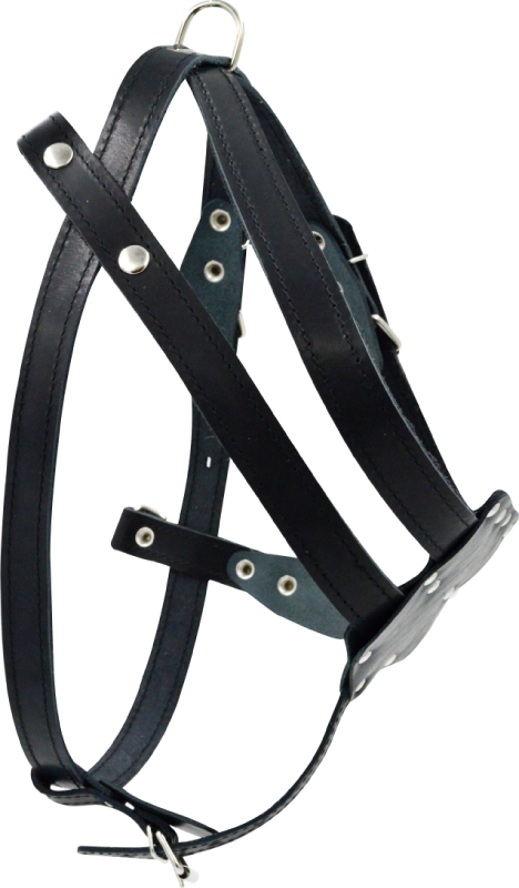 Шлейка для собак 0860Ч 1сл 26 мм до 100 см черная
Шлейка для собак 0860Ч 1сл 26 мм до 100 см черная