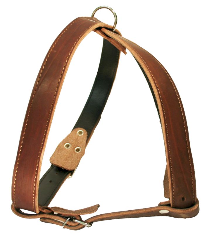 Шлейка для собак 0873К 2сл 36 мм до 100 см коричневая
Шлейка для собак 0873К 2сл 36 мм до 100 см коричневая