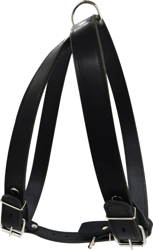 Шлейка для собак 0873Ч 2сл 36 мм до 100 см черная
Шлейка для собак 0873Ч 2сл 36 мм до 100 см черная