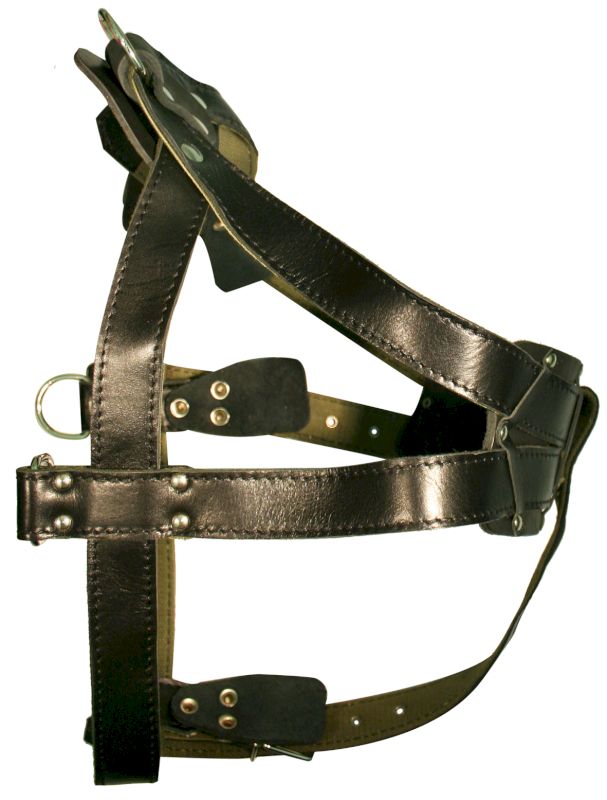 Шлейка для собак 0880Ч кожа+брезент 36 мм до 115 см черная
Шлейка для собак 0880Ч кожа+брезент 36 мм до 115 см черная