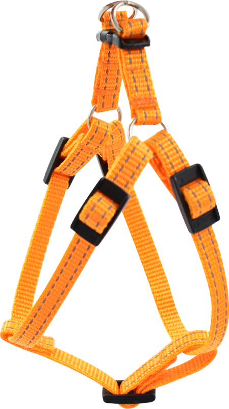 Шлейка для собак 5712А FRESH LINE 15 мм капрон быстросъемная, регулируемая от 40 до 50 см апельсиновая
Шлейка для собак 5712А FRESH LINE 15 мм капрон быстросъемная, регулируемая от 40 до 50 см апельсиновая