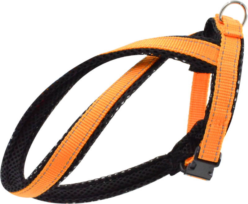 Шлейка для собак 5732А FRESH LINE 15 мм капрон/сетка Х-образная, регулируемая от 30 до 40 см апельсиновая
Шлейка для собак 5732А FRESH LINE 15 мм капрон/сетка Х-образная, регулируемая от 30 до 40 см апельсиновая