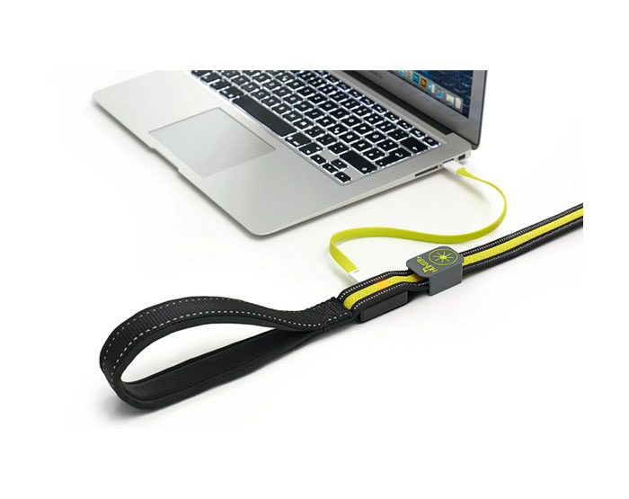 Hunter LED Поводок Manoa Glow 30/120 желтый
Hunter LED Поводок Manoa Glow 30/120 желтый