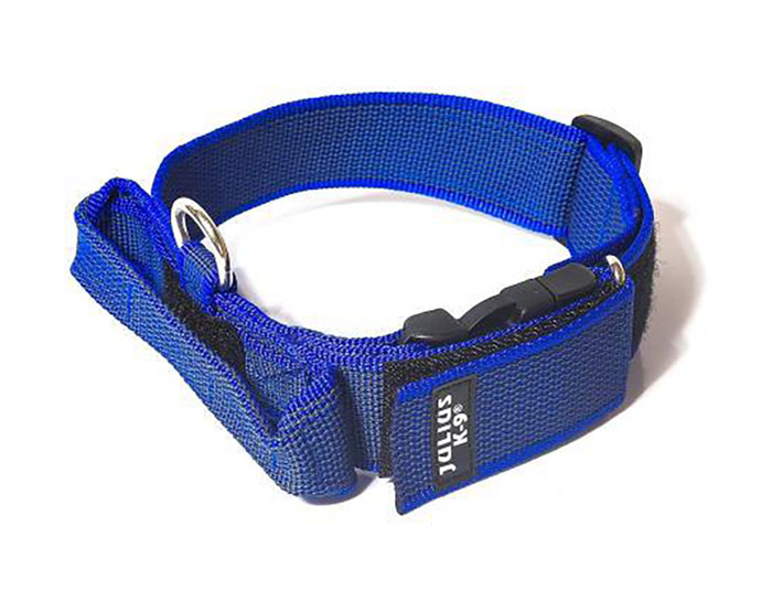 JULIUS-K9 ошейник для собак Color & Gray (38-53см/4см), с закрытой ручкой, сине-серый
JULIUS-K9 ошейник для собак Color & Gray (38-53см/4см), с закрытой ручкой, сине-серый
