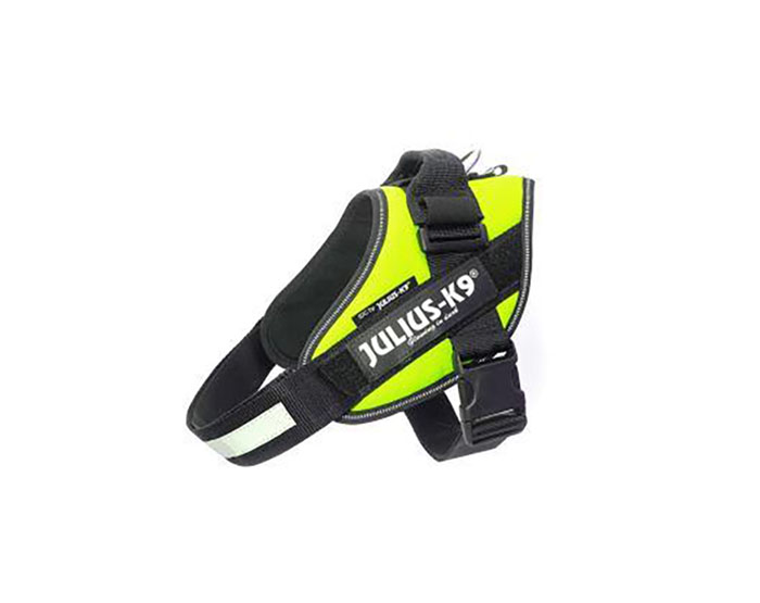 JULIUS-K9 шлейка для собак IDC®-Powerharness 1 (63-85см/ 23-30кг), зеленый неон
JULIUS-K9 шлейка для собак IDC®-Powerharness 1 (63-85см/ 23-30кг), зеленый неон