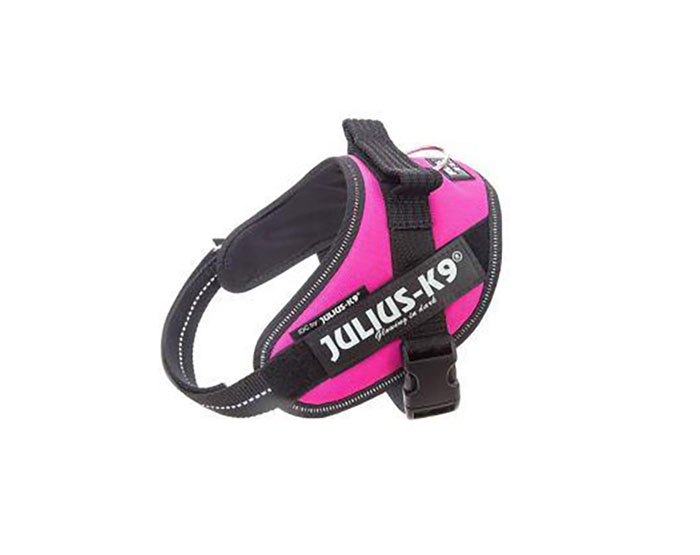 JULIUS-K9 шлейка для собак IDC®-Powerharness Mini (49-67см/ 7-15кг), темно-розовый
JULIUS-K9 шлейка для собак IDC®-Powerharness Mini (49-67см/ 7-15кг), темно-розовый