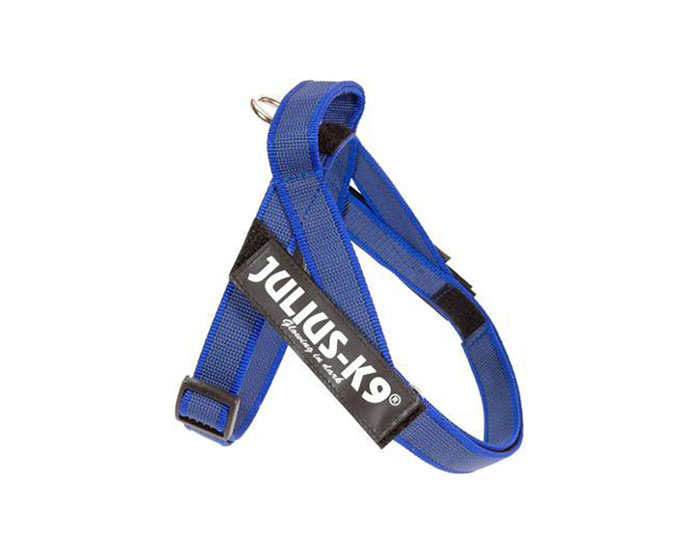 JULIUS-K9 шлейка для собак Ремни Color & Gray IDC® Mini (49-65см / 7-15кг), синий
JULIUS-K9 шлейка для собак Ремни Color & Gray IDC® Mini (49-65см / 7-15кг), синий