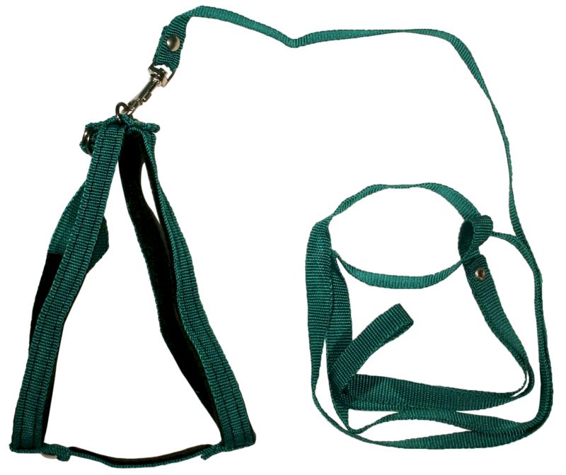 Комплект для кошек 1003З поводок + шлейка капроновый зеленый до 45 см
Комплект для кошек 1003З поводок + шлейка капроновый зеленый до 45 см