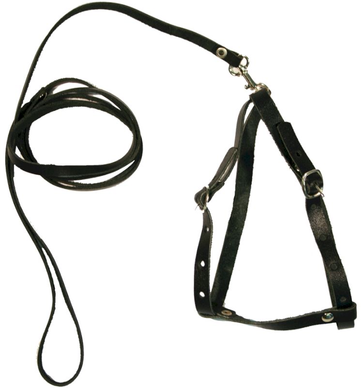 Комплект для кошек 1000Ч однослойный черный
Комплект для кошек 1000Ч однослойный черный