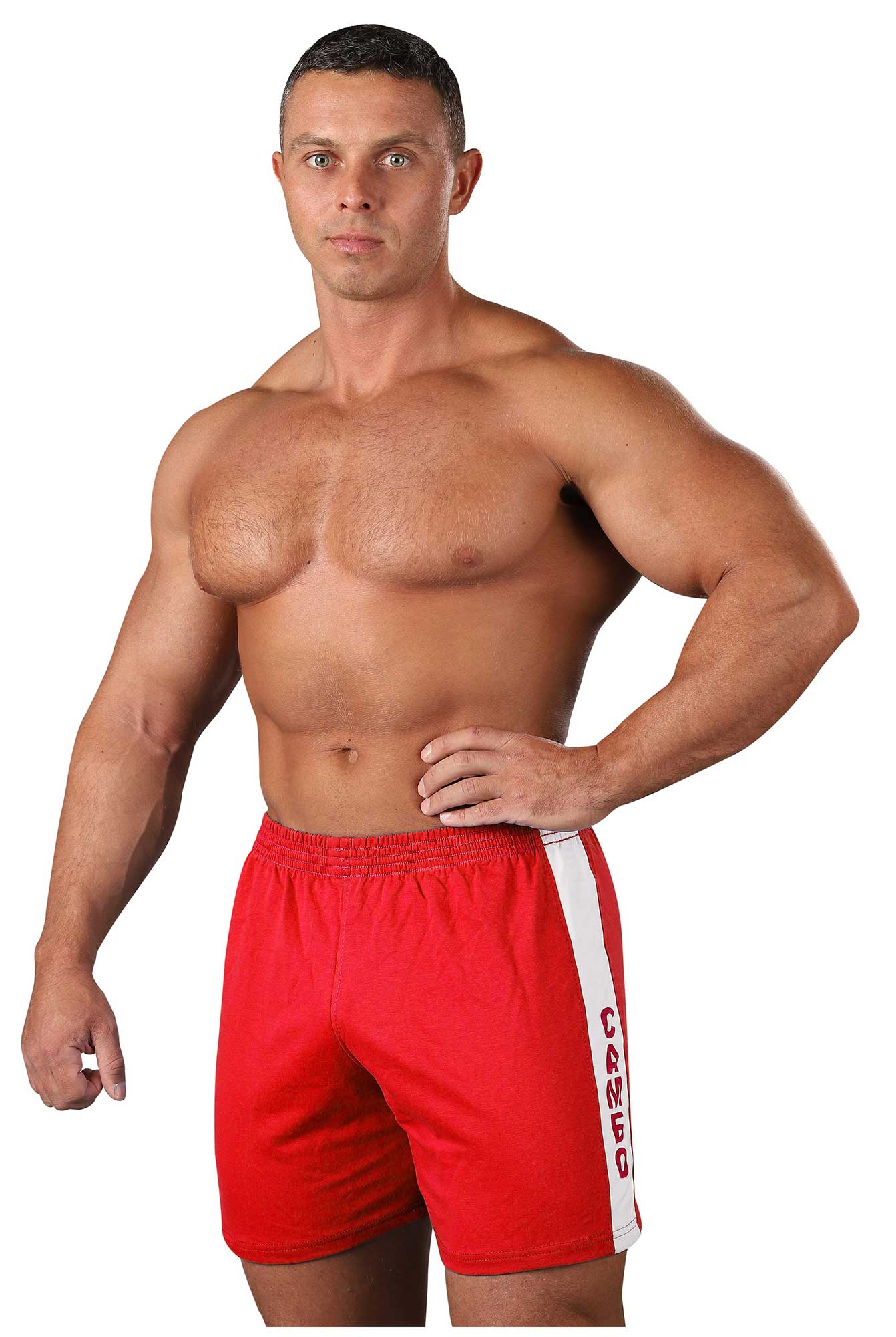 Шорты для Самбо, RA-007, Красный
Шорты для Самбо, RA-007, Красный