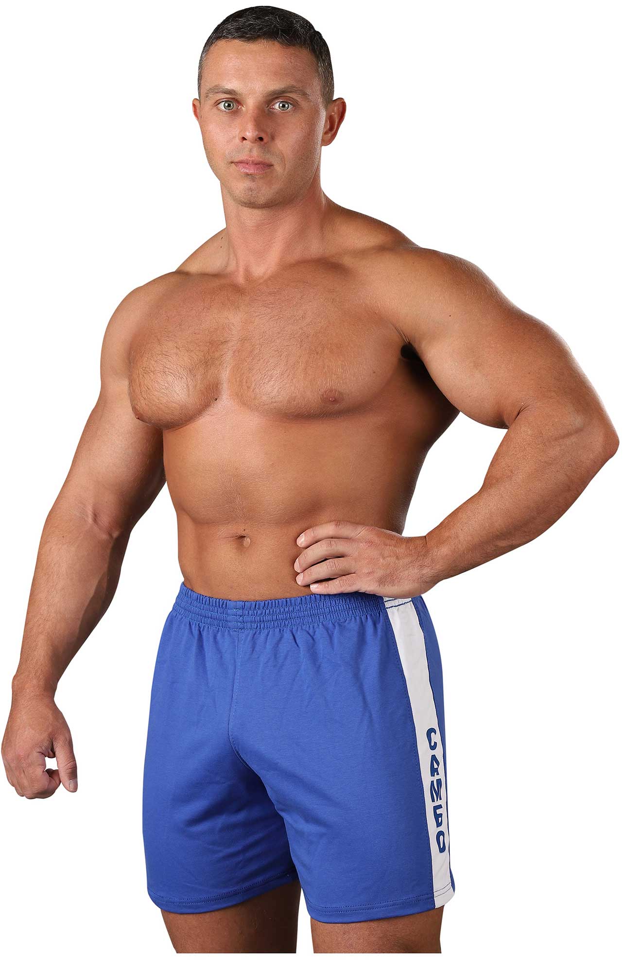 Шорты для Самбо, RA-008, Синий
Шорты для Самбо, RA-008, Синий