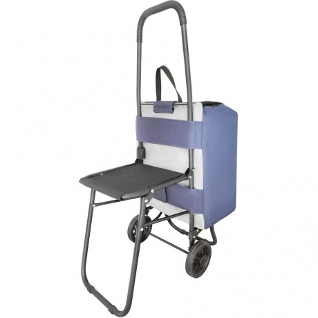 Сумка-тележка "Попутчица" Исток, с сиденьем, 36*27*95 см, объем 45 л, груз 35кг, серый/синий, СТПС11, шт
Сумка-тележка "Попутчица" Исток, с сиденьем, 36*27*95 см, объем 45 л, груз 35кг, серый/синий, СТПС11, шт