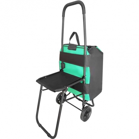 Сумка-тележка "Попутчица" Исток,с сиденьем,36*27*95 см, груз 35кг, зеленый/черный, СТПС12, шт
Сумка-тележка "Попутчица" Исток,с сиденьем,36*27*95 см, груз 35кг, зеленый/черный, СТПС12, шт