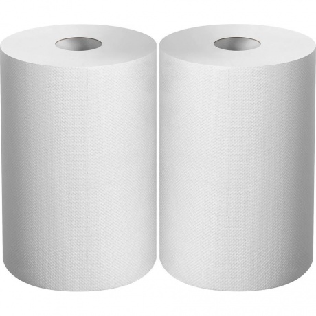 Бумага протирочная ЗУБР 20х25 см, 2-х слойная, 400 листов, 2 рулона, 12822-20, Белый
Бумага протирочная ЗУБР 20х25 см, 2-х слойная, 400 листов, 2 рулона, 12822-20, Белый