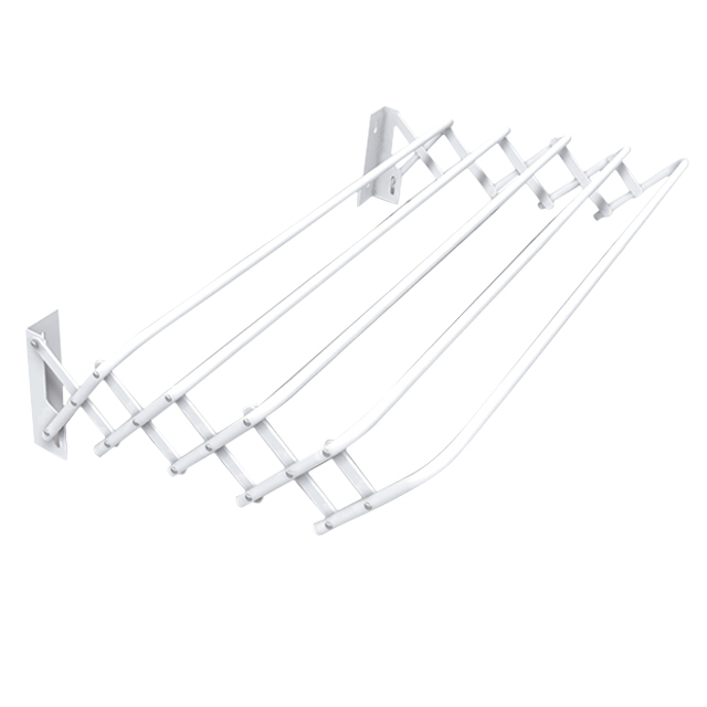 Сушилка настенная Brio 100 Super Gimi (10070103) Белый
Сушилка настенная Brio 100 Super Gimi (10070103) Белый