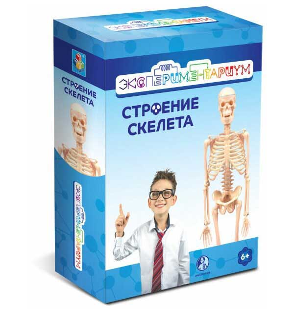ЭКСПЕРИМЕНТАРИУМ Набор "Строение скелета"
ЭКСПЕРИМЕНТАРИУМ Набор "Строение скелета"