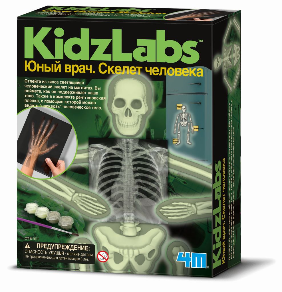Набор 4M 00-03375 Юный врач. Скелет человека
Набор 4M 00-03375 Юный врач. Скелет человека