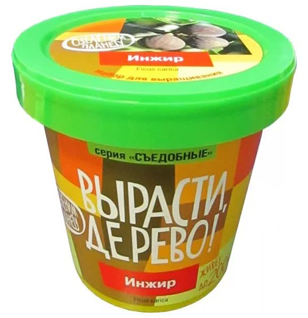 Набор для выращивания ВЫРАСТИ ДЕРЕВО! zk-080 Инжир
Набор для выращивания ВЫРАСТИ ДЕРЕВО! zk-080 Инжир