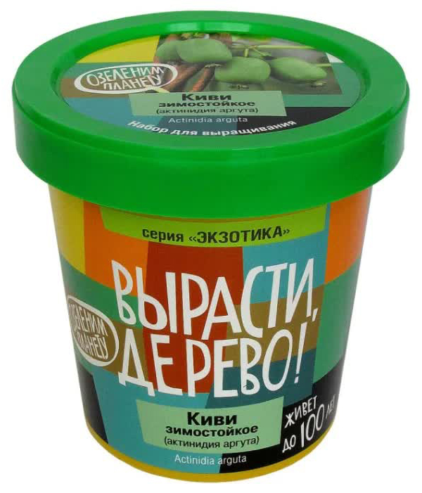 Набор для выращивания ВЫРАСТИ ДЕРЕВО! zk-095 Киви зимостойкое
Набор для выращивания ВЫРАСТИ ДЕРЕВО! zk-095 Киви зимостойкое