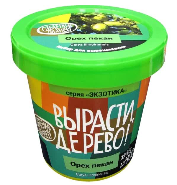 Набор для выращивания ВЫРАСТИ ДЕРЕВО! zk-084 Орех пекан
Набор для выращивания ВЫРАСТИ ДЕРЕВО! zk-084 Орех пекан