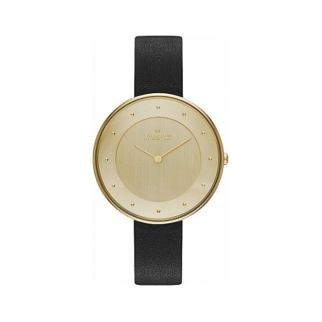 Наручные часы Skagen SKW2262
Наручные часы Skagen SKW2262