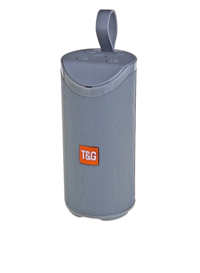 Портативная акустика T&G TG169 серый
Портативная акустика T&G TG169 серый