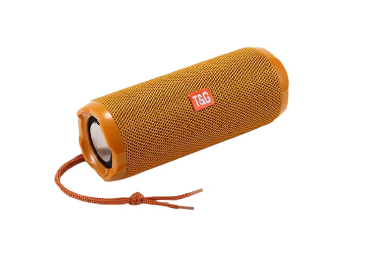 Портативная акустика T&G TG191 золотой
Портативная акустика T&G TG191 золотой