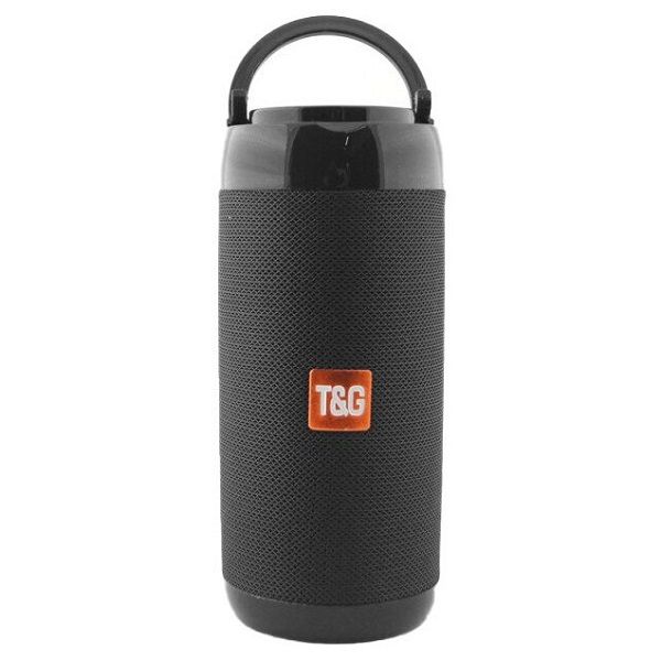 Портативная акустика T&G TG113C Black
Портативная акустика T&G TG113C Black
