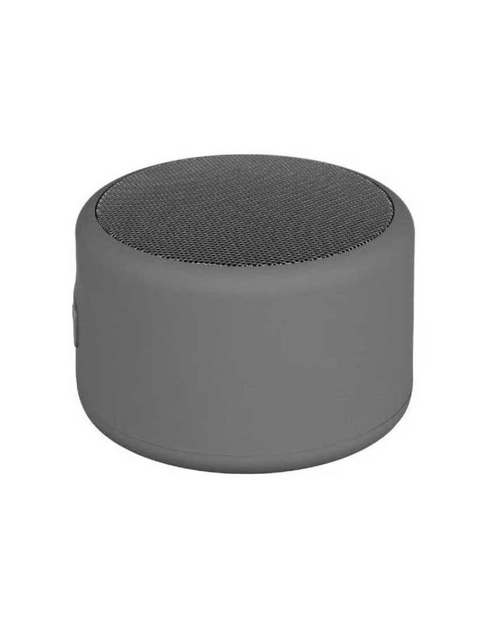 Портативная колонка TFN Mini gray
Портативная колонка TFN Mini gray