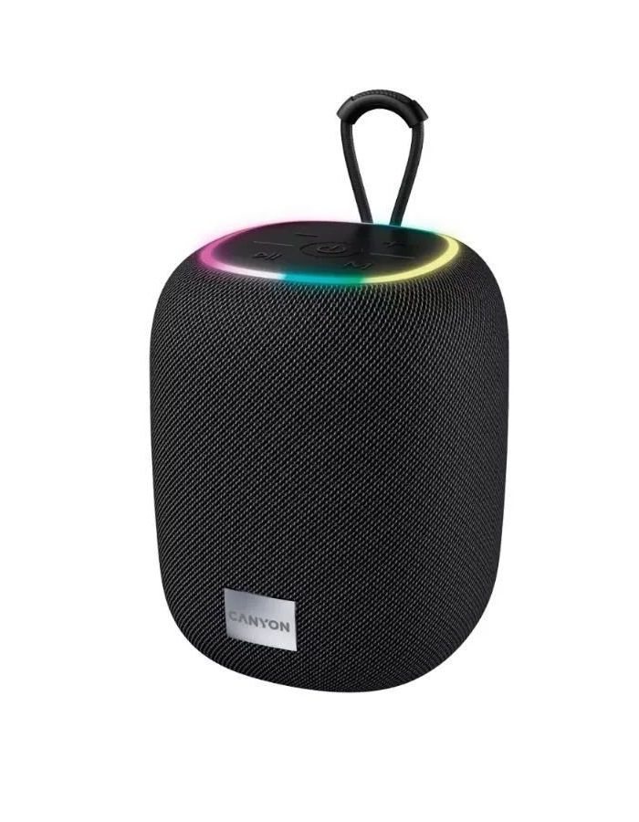 Портативная акустика CANYON BSP-8 Black
Портативная акустика CANYON BSP-8 Black