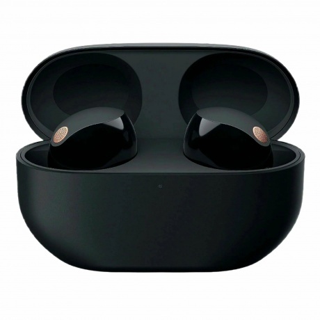 Наушники Sony WF-1000XM5 Black
Наушники Sony WF-1000XM5 Black