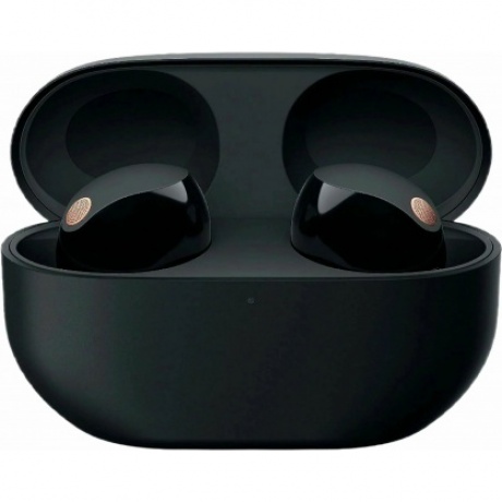 Наушники Sony WF-1000XM5 Black
Наушники Sony WF-1000XM5 Black