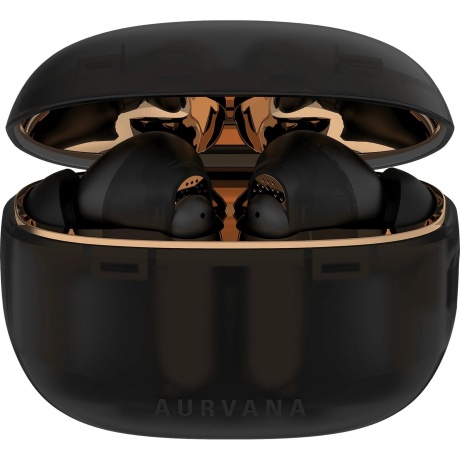 Наушники Creative Aurvana Ace 2 (TWS) 51EF1160AA000, Черный
Наушники Creative Aurvana Ace 2 (TWS) 51EF1160AA000, Черный