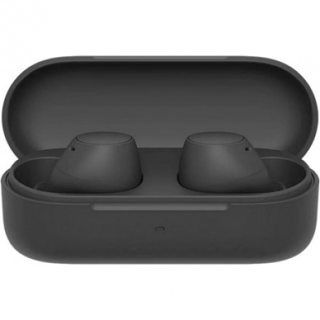 Наушники SONY WF-C510 (WF-C510/BCE) Black
Наушники SONY WF-C510 (WF-C510/BCE) Black