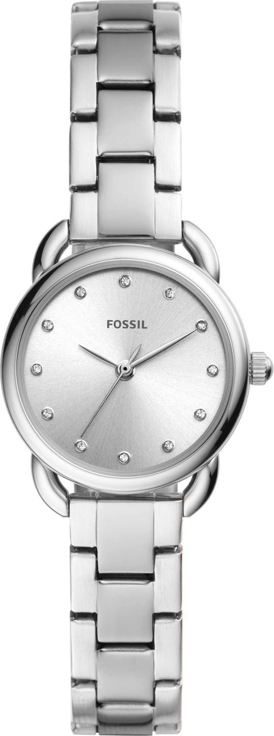 Наручные часы Fossil ES4496
Наручные часы Fossil ES4496