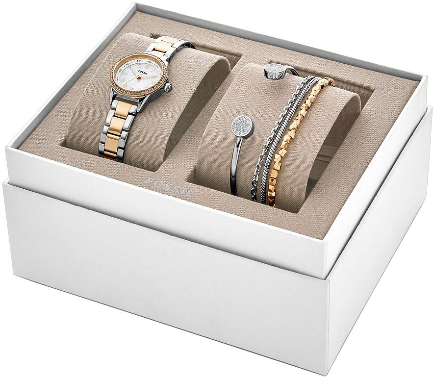 Наручные часы Fossil BQ3298SET
Наручные часы Fossil BQ3298SET