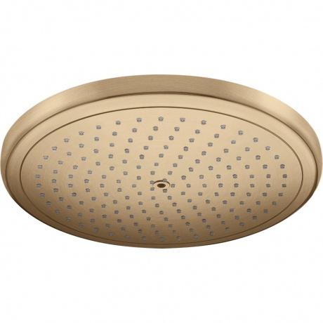 Верхний душ Hansgrohe Croma Air 280 26220140 бронза, Бронзовый
Верхний душ Hansgrohe Croma Air 280 26220140 бронза, Бронзовый