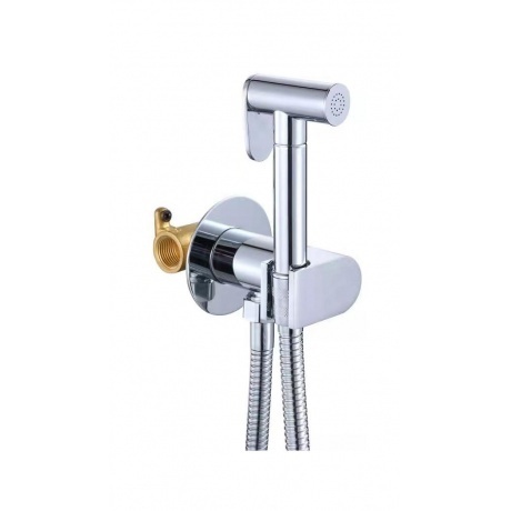 Гигиенический душ встраиваемый RUSH Capri (CA1435-97)
Гигиенический душ встраиваемый RUSH Capri (CA1435-97)